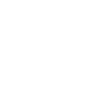 Next Arrow